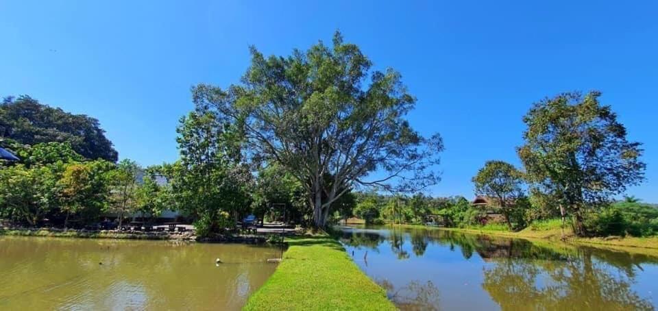 Homdoiintr Farmstay ฮ่อมดอยอินทร์ ฟาร์มสเตย์ Ban Huai Kaeo Exteriér fotografie