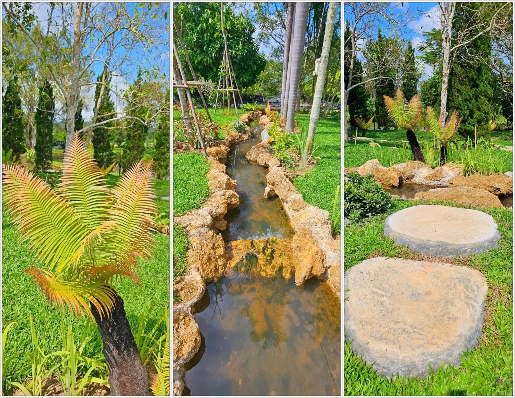 Homdoiintr Farmstay ฮ่อมดอยอินทร์ ฟาร์มสเตย์ Ban Huai Kaeo Exteriér fotografie