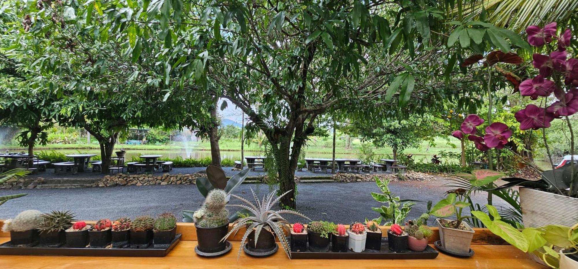 Homdoiintr Farmstay ฮ่อมดอยอินทร์ ฟาร์มสเตย์ Ban Huai Kaeo Exteriér fotografie