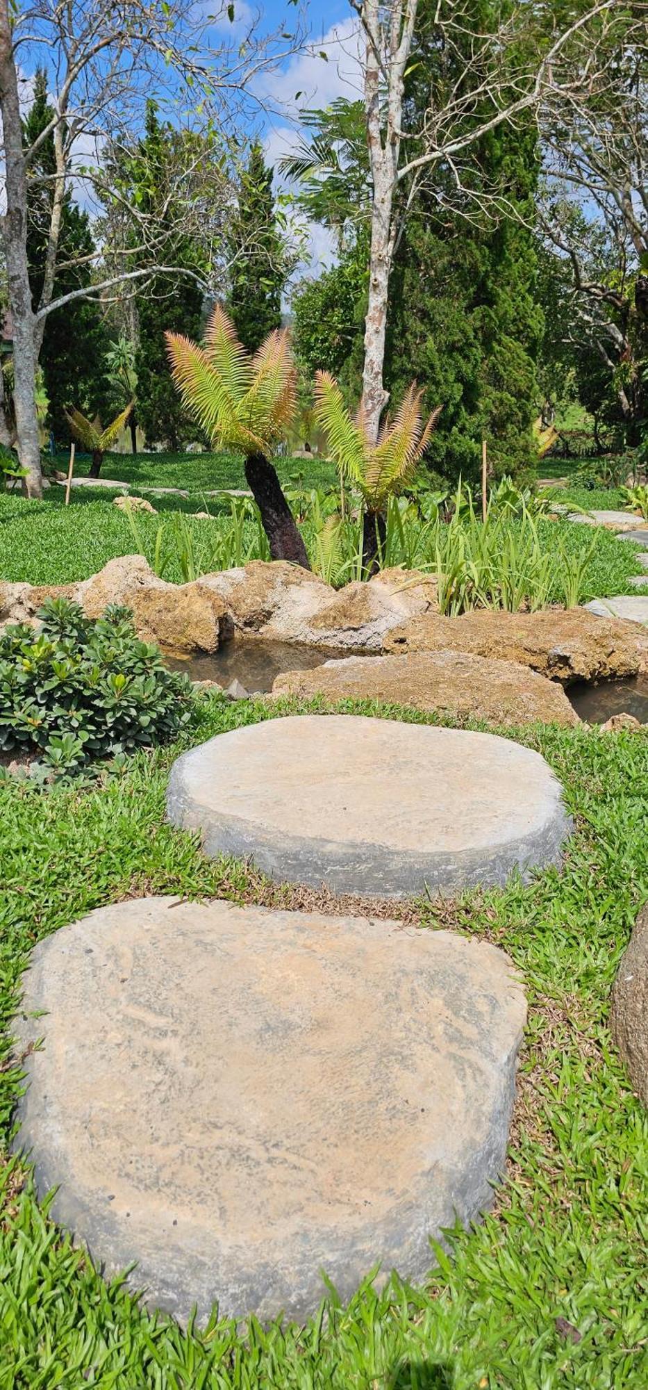 Homdoiintr Farmstay ฮ่อมดอยอินทร์ ฟาร์มสเตย์ Ban Huai Kaeo Exteriér fotografie