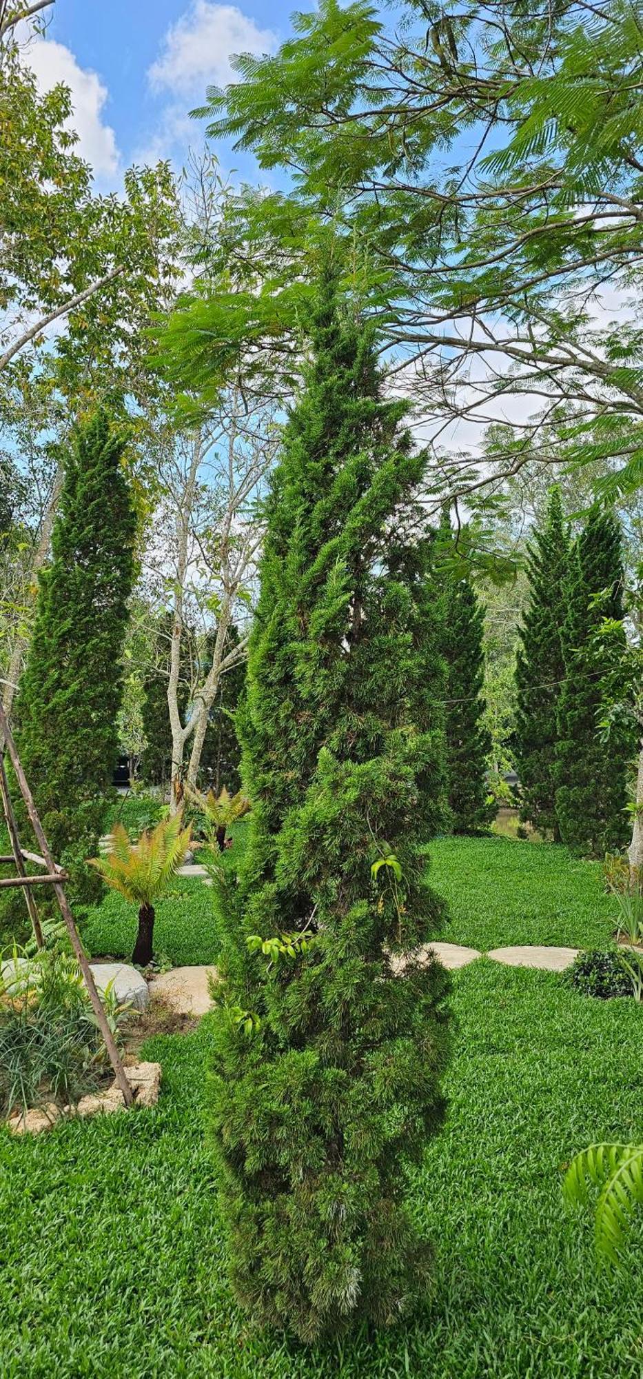 Homdoiintr Farmstay ฮ่อมดอยอินทร์ ฟาร์มสเตย์ Ban Huai Kaeo Exteriér fotografie