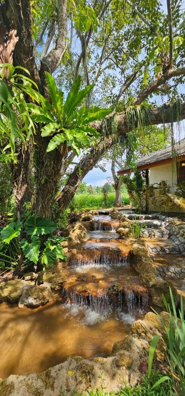 Homdoiintr Farmstay ฮ่อมดอยอินทร์ ฟาร์มสเตย์ Ban Huai Kaeo Exteriér fotografie