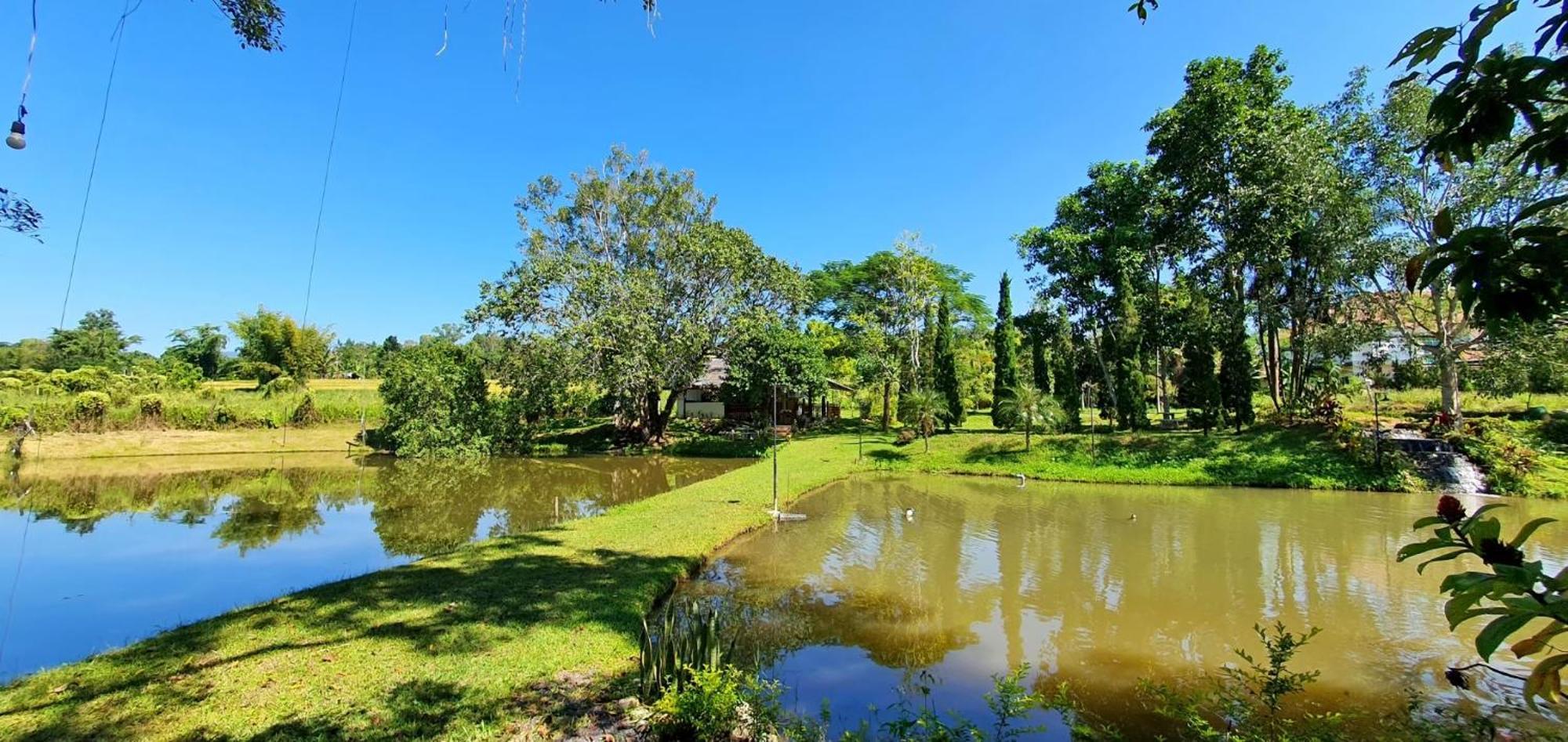 Homdoiintr Farmstay ฮ่อมดอยอินทร์ ฟาร์มสเตย์ Ban Huai Kaeo Exteriér fotografie